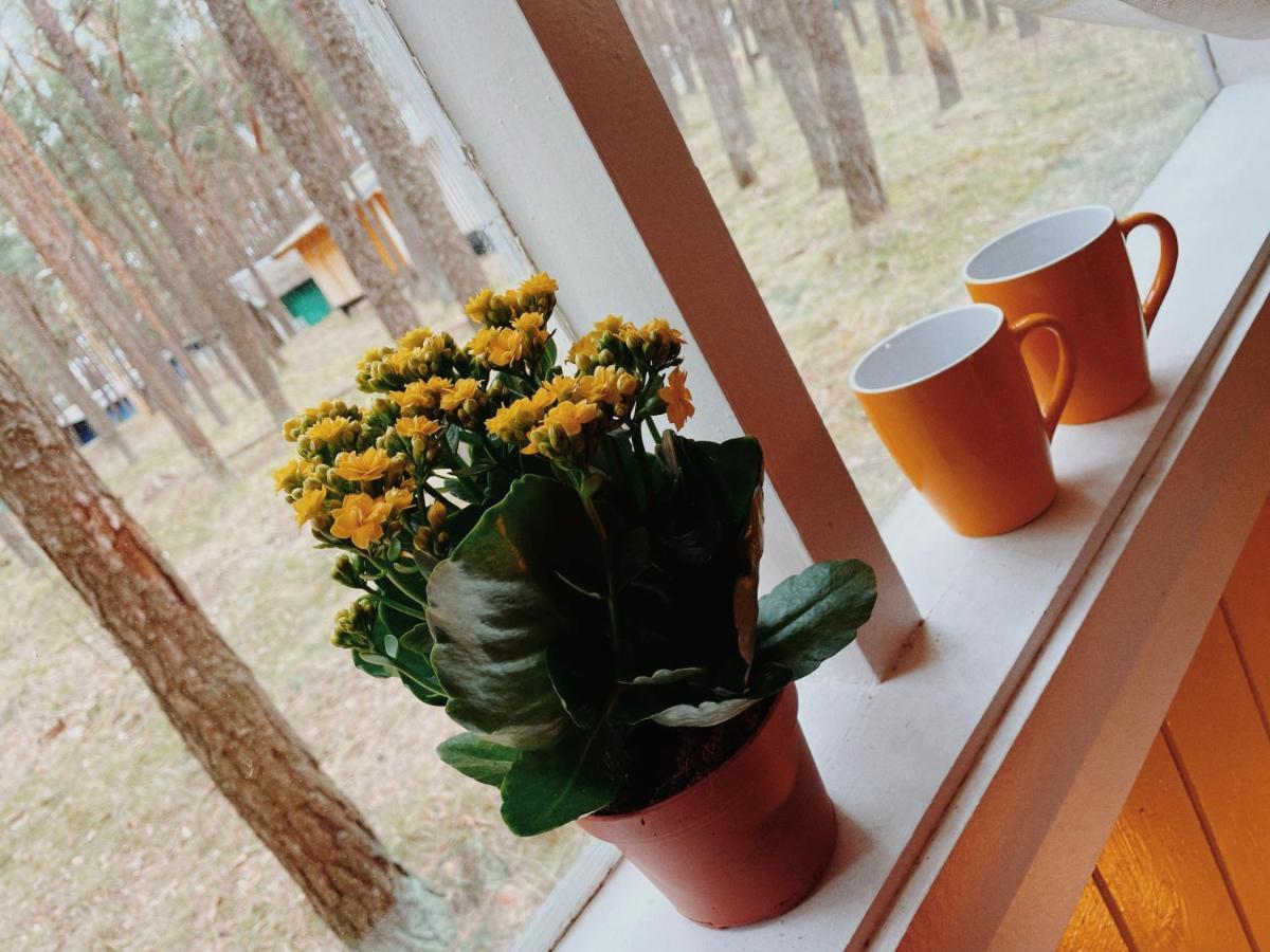 Šventoji Energetikas • Nameliai Prie Jurosヴィラ エクステリア 写真