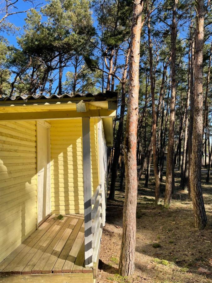 Šventoji Energetikas • Nameliai Prie Jurosヴィラ エクステリア 写真