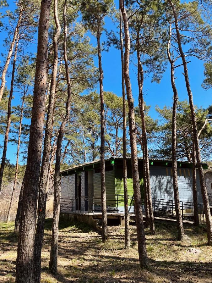 Šventoji Energetikas • Nameliai Prie Jurosヴィラ エクステリア 写真